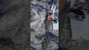 бумажные собачки вернулись