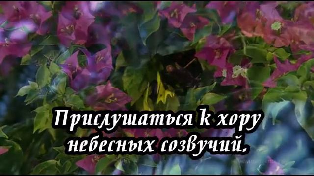 Ксения Лапицкая - Очи открой нам(-) смотреть онлайн