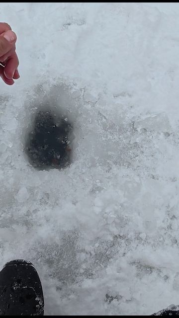 Озоновские мормышки ловят! Бешеный клёв! смотреть онлайн