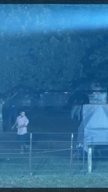 #Бразилия смотреть онлайн