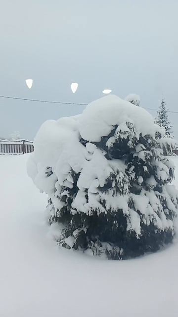 Искали идеал...... смотреть онлайн