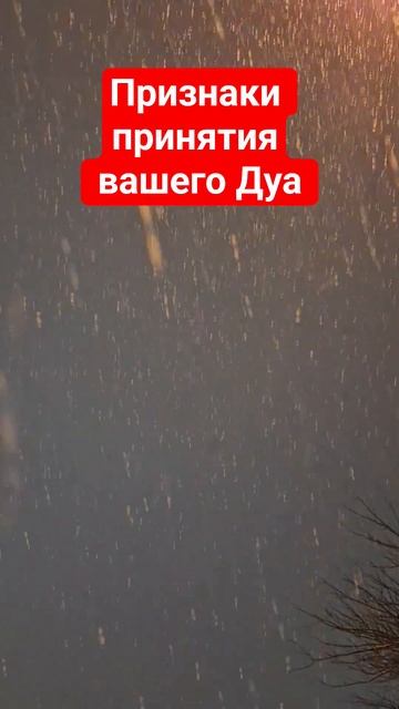 Признаки принятия вашего ДУА , подпишись если было полезно смотреть онлайн