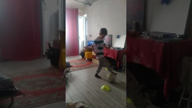 VID20260124113743.mp4