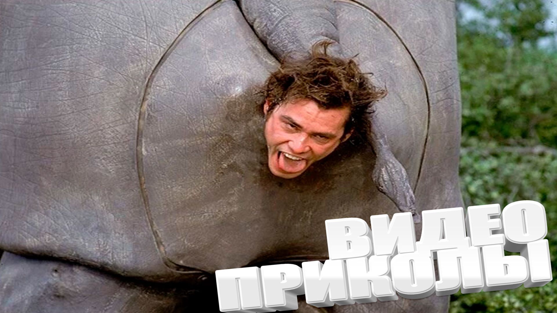 ЛУЧШИЕ ПРИКОЛЫ 2025 | ПРИКОЛЫ 2025 | СВЕЖИЕ ПРИКОЛЫ 2025 | РЖУ НЕ МОГУ | смотреть онлайн