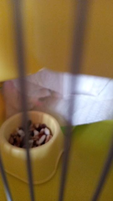 ташет и ташет потянет потянет