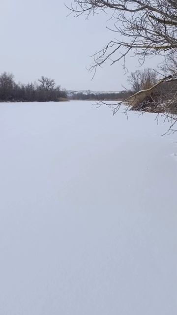 Река Калитва Январь 2026 смотреть онлайн