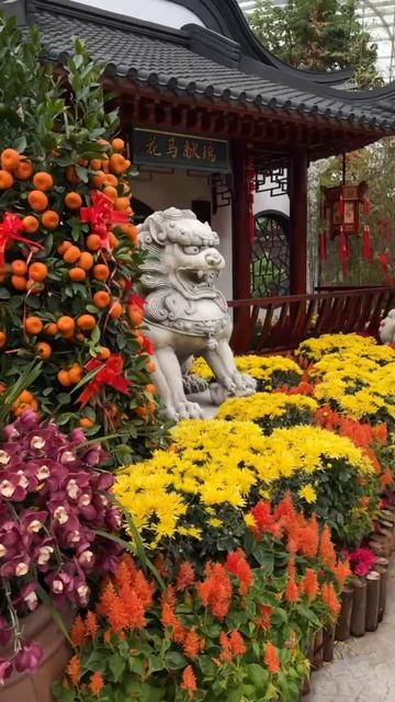 Дом цветов в Садах у залива. Китайская зона смотреть онлайн