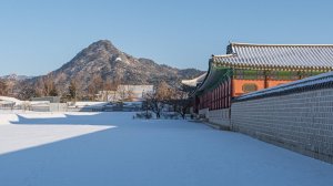 Snowy Morning Walk in Gyeongbokgung Palace, Seoul ❄️ ｜ ASMR Walking Tour