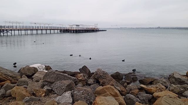 video_2026-01-24_14-55-20 смотреть онлайн