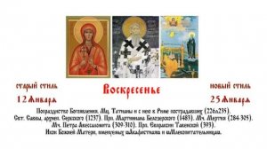 25.01.2026 Божественная Литургия. Воскресенье. Неделя 31-я по Пятидесятнице, по Богоявлении