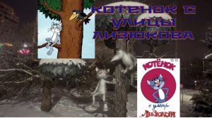 Котенок с улицы Лизюкова. Воронеж