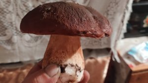 Хоккейнер пять мин до старта