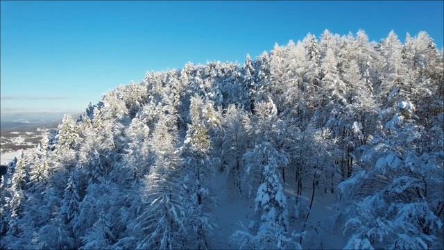 Тайны 24 января. Что изменится у каждого знака зодиака. смотреть онлайн