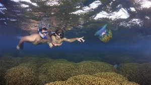 Биолог Трофимова дала советы по лечению ожогов от медуз на Мальдивах