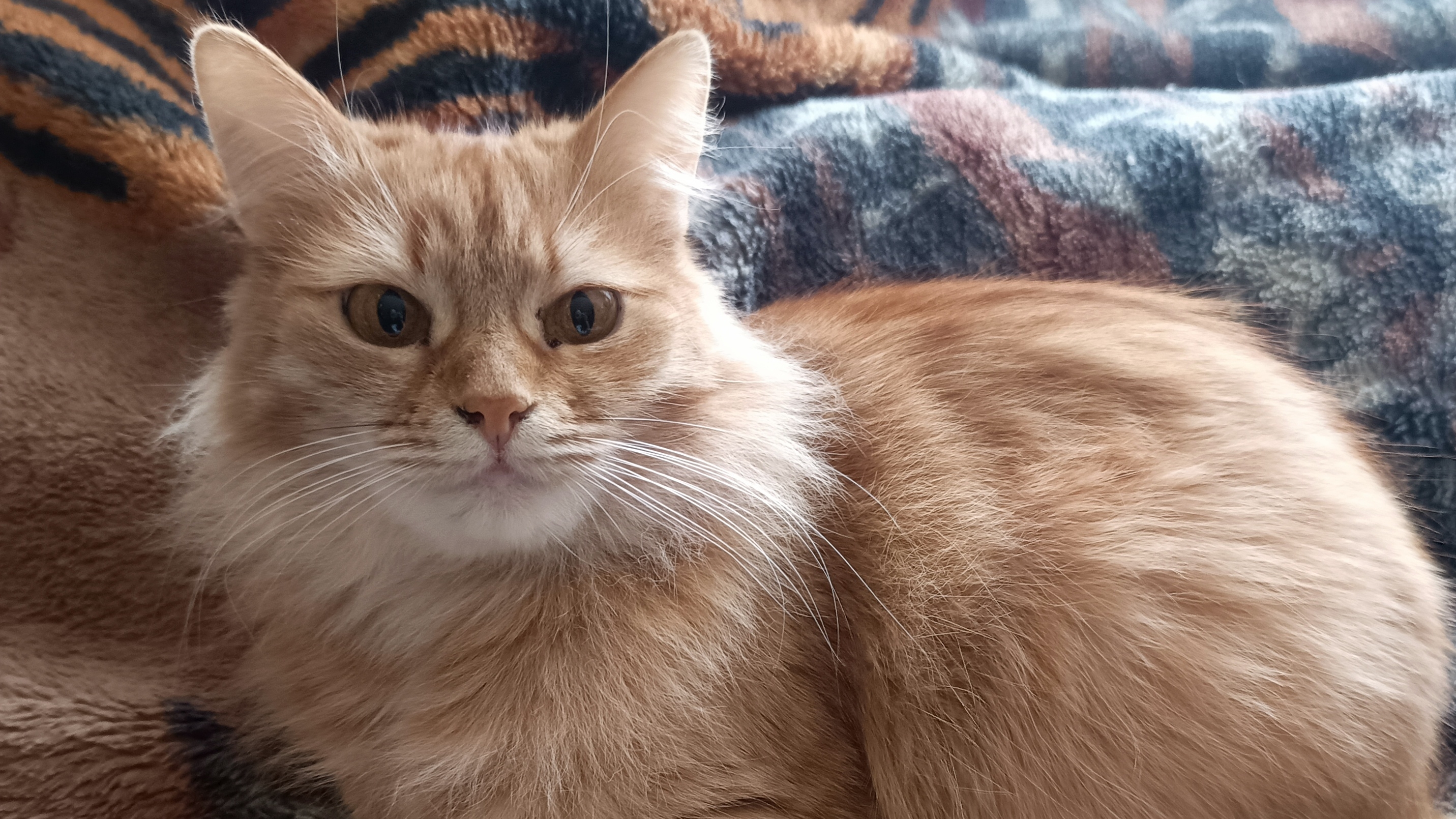 24-01-2026💥Влог💥суббота 📖комментарии смотреть онлайн