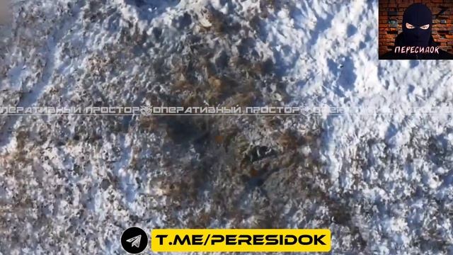 Игру в догонялки ВСУшник проиграл смотреть онлайн