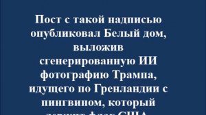 "Обнимите пингвина"