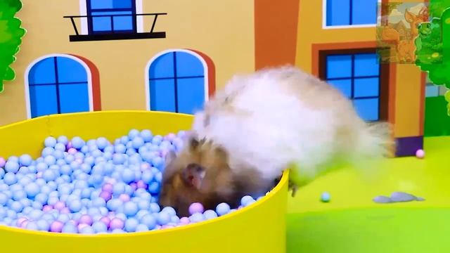 Маленький хомячок прибыл на фабрику игрушек, где его ждут Хаджи и длинноногая мама! смотреть онлайн