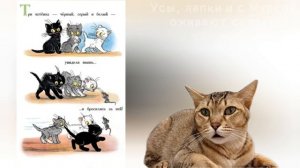 Усы, лапки и с Муркой оживают сказки!
В.Сутеев "Три котенка"