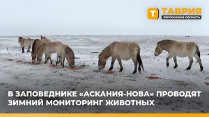 В заповеднике "Аскания-Нова" проводят зимний мониторинг животных