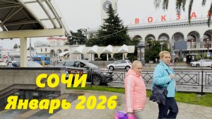 Сочи в январе 2026.