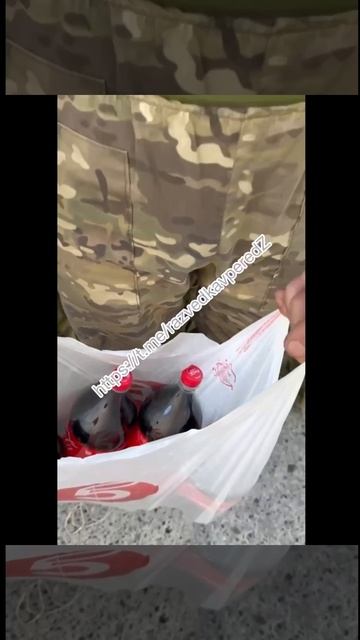 Архив Курск смотреть онлайн