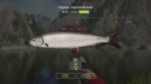 На рыбалку в субботу, присоединяйтесь!