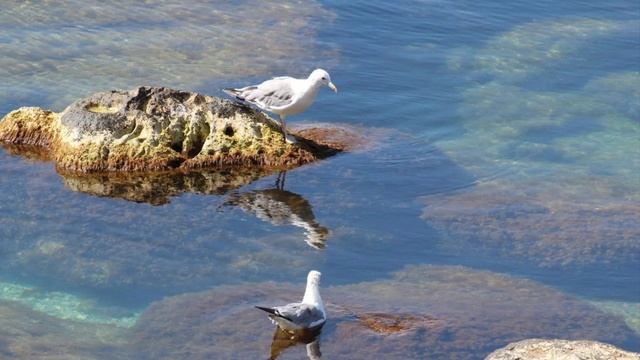 🎼. «Soul to Soul (Live)» - Let Babylon Burn смотреть онлайн