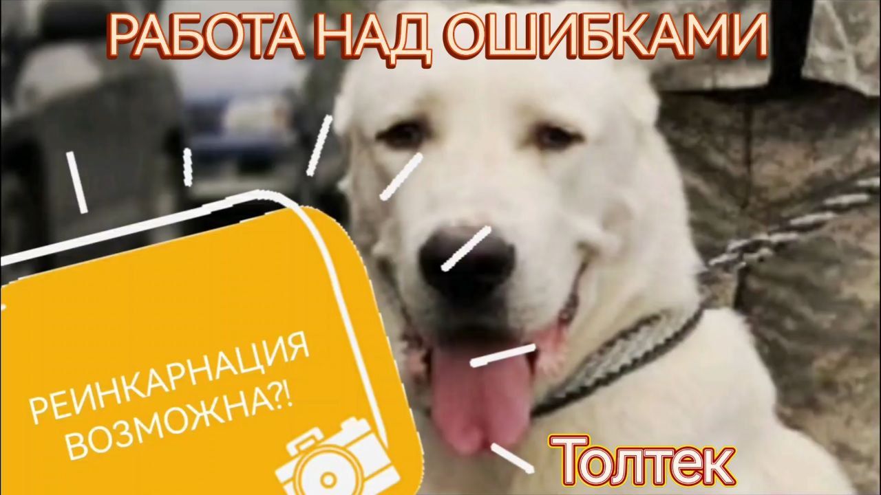 ДРУГ ВЕРНУЛСЯ?! смотреть онлайн