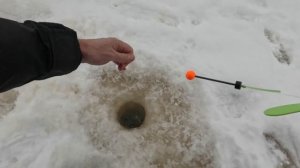 Рыбалка на форель со льда. РК Фишка.