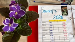 #9 Распределение денег аванс 24 января 2026