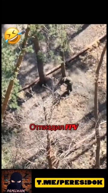 Слабоумие или отвага? смотреть онлайн