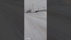 Прогулялась в магазин 🤭