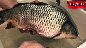 Выживание на такую Зарплату!