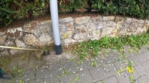 Запланировал обслуживание ДВУХ КЛИЕНТОВ по стрижке изгородей на ОДИН ДЕНЬ