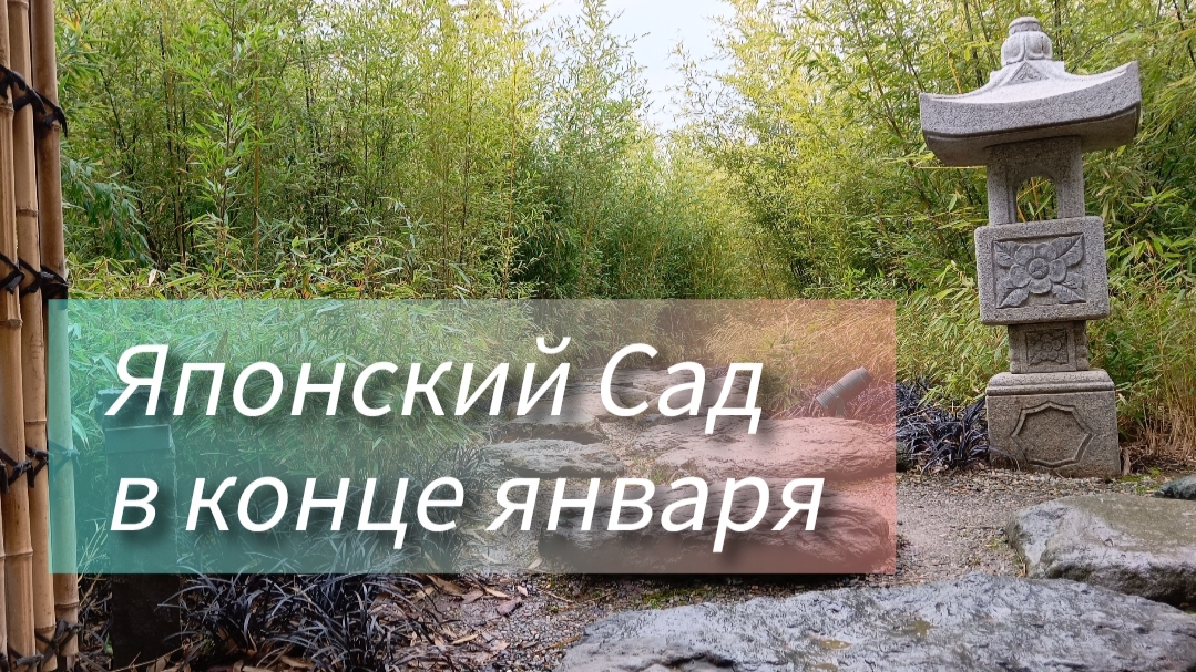 Краснодар. Японский Сад в конце января✅ смотреть онлайн