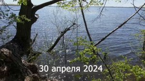 Восстанавливаю каменный дом - мечта длиною в год. Заброшенный уют 1 серия