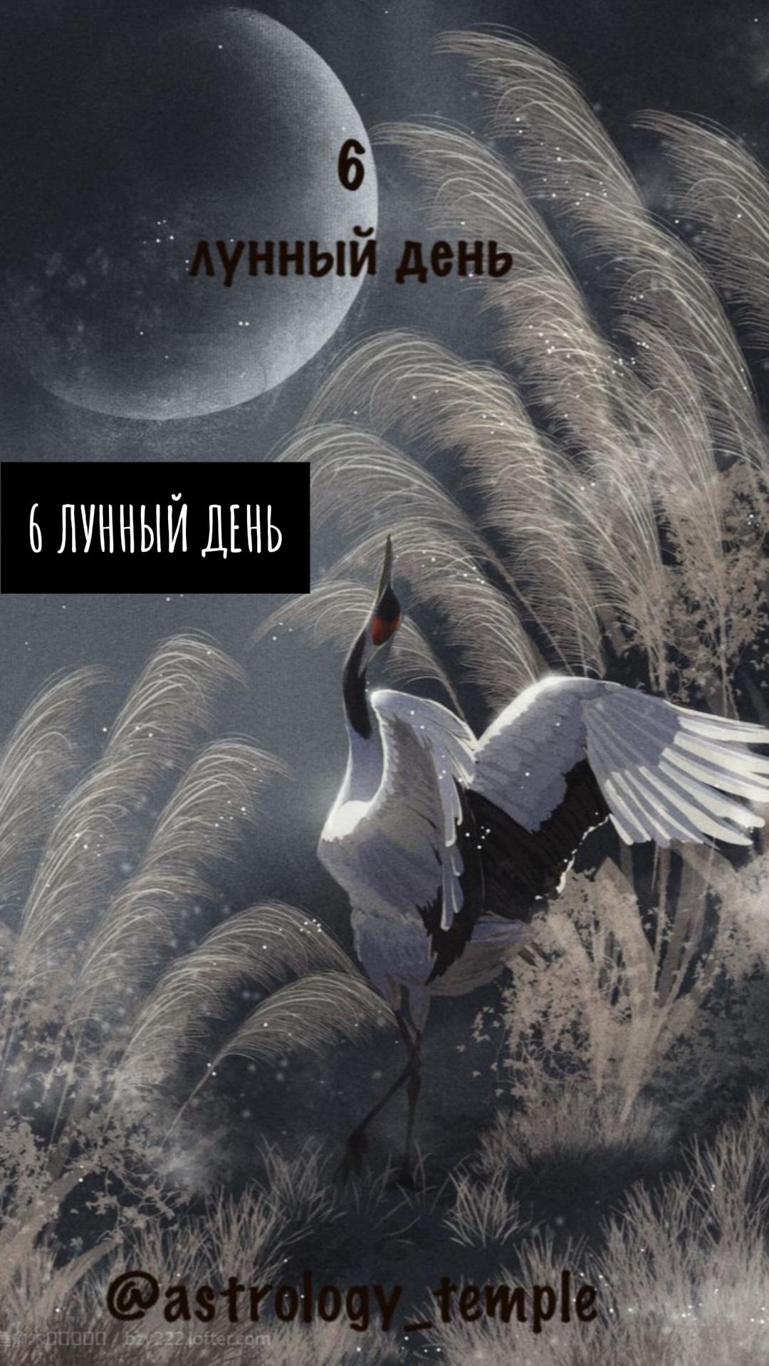 📅 Суббота, 24.01.2026 🌛 6 Лунный день 🌒 Растущая Луна в Овне (для Овнов знаковый период) 🪄 смотреть онлайн