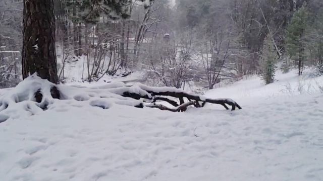 игра пристолов смотреть онлайн