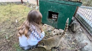 Люська знакомит Ангелину с ЕНОТОМ ШАРИКОМ!