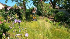 Новым хозяевам НУЖНА ПОМОЩЬ, чтобы этот двор снова выглядел отлично