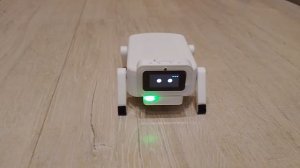 знакомство.  с. робиком