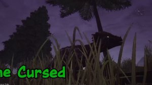 видео про курсед