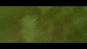 0.0.Вступление. Август Раш (Две части)