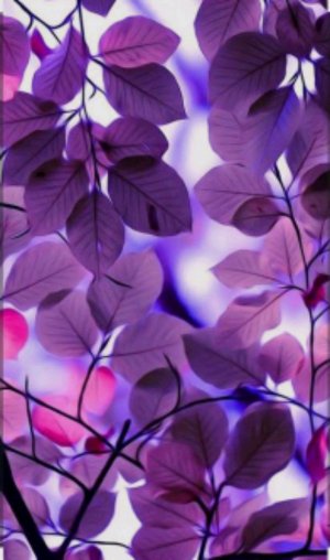 АСМ и бумажная касметика