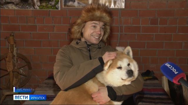 Местный Хатико. В Сибирском зоопарке в Николе собака ждёт своего хозяина с СВО смотреть онлайн