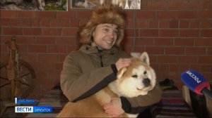 Местный Хатико. В Сибирском зоопарке в Николе собака ждёт своего хозяина с СВО