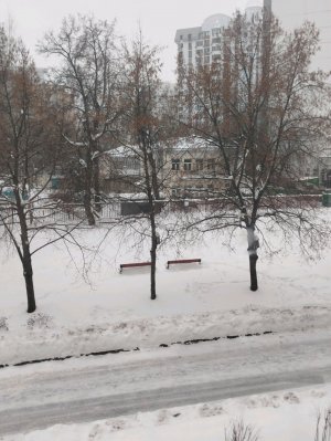 стрим с Лёши