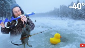 Я спрыгнул с дерева в сапог и пережил ночь в лесу. Y