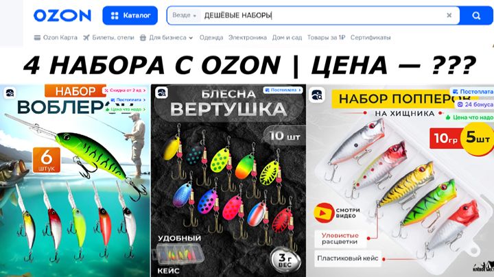 Я ЗАКАЗАЛ 4 самых ДЕШЕВЫХ набора ПРИМАНОК на OZON. Цена ШОКИРОВАЛА. смотреть онлайн